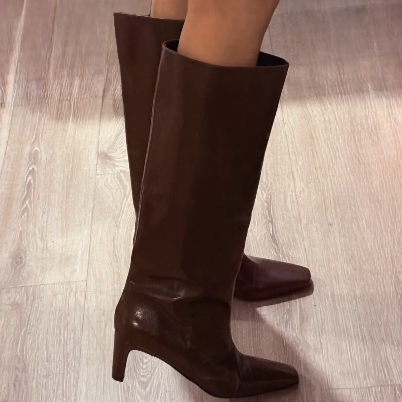 Sarkany · Talle AR 39
