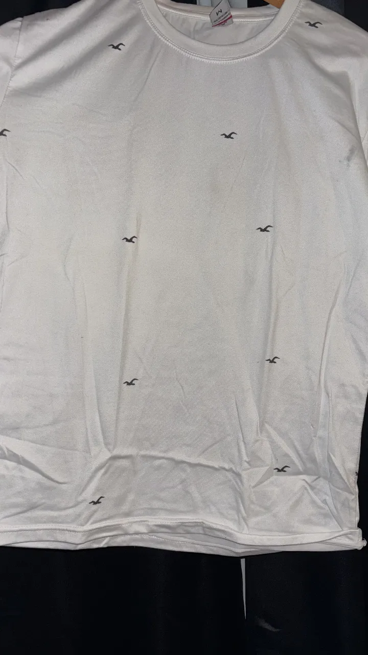 Hollister · Talle S