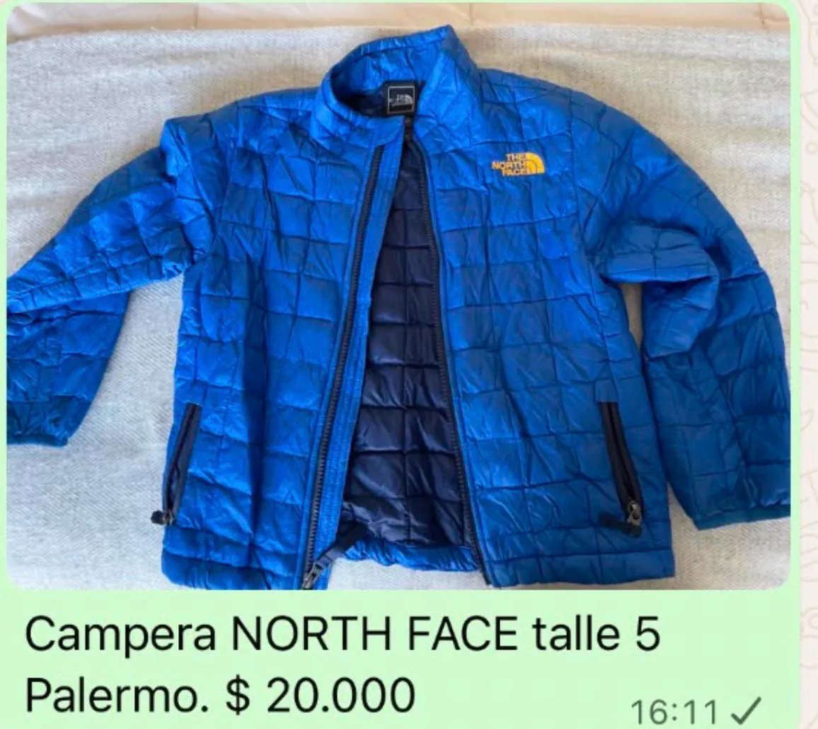 Campera The North Face - imagen 1