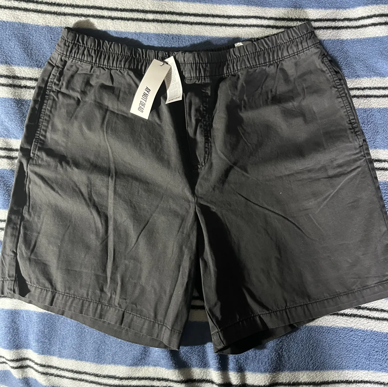 Bermuda Ay Not Dead · Talle XL