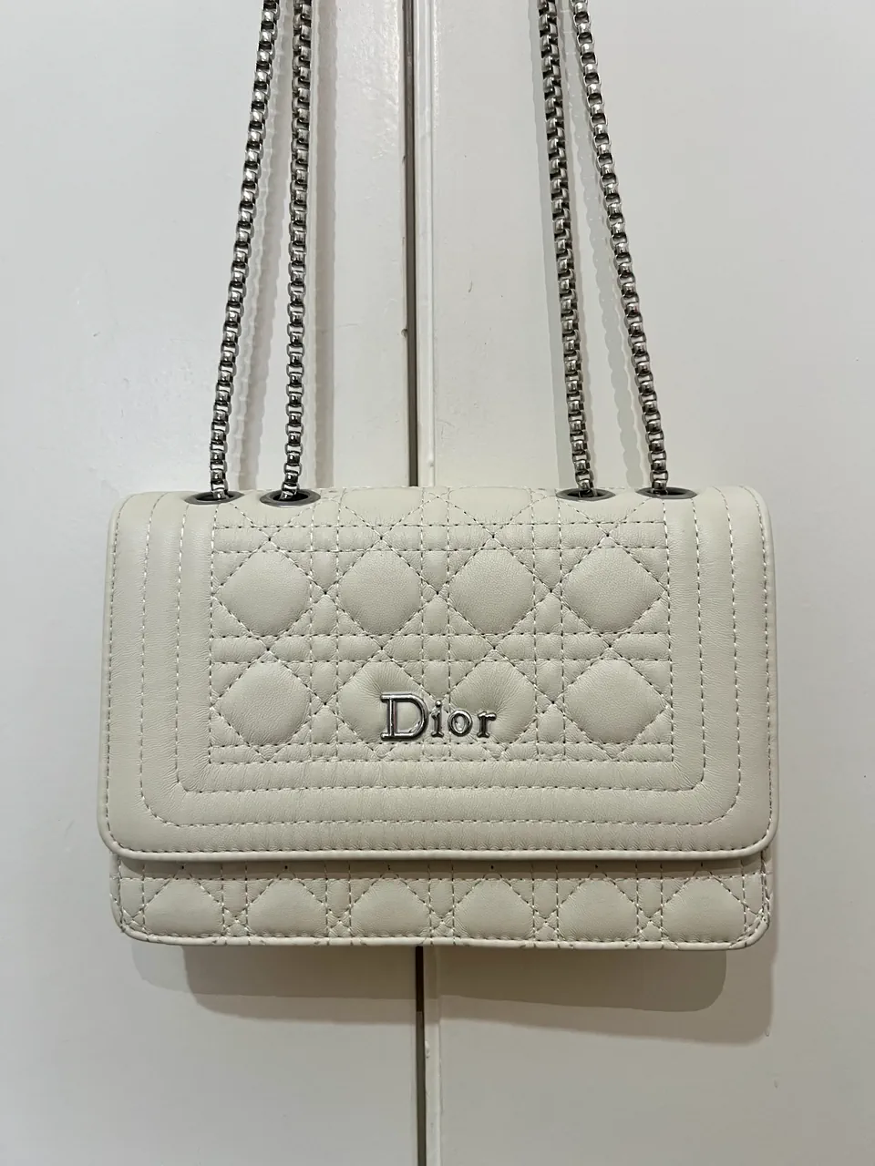 Cartera Dior