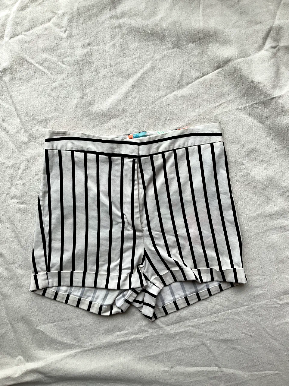 Delaostia · Talle M