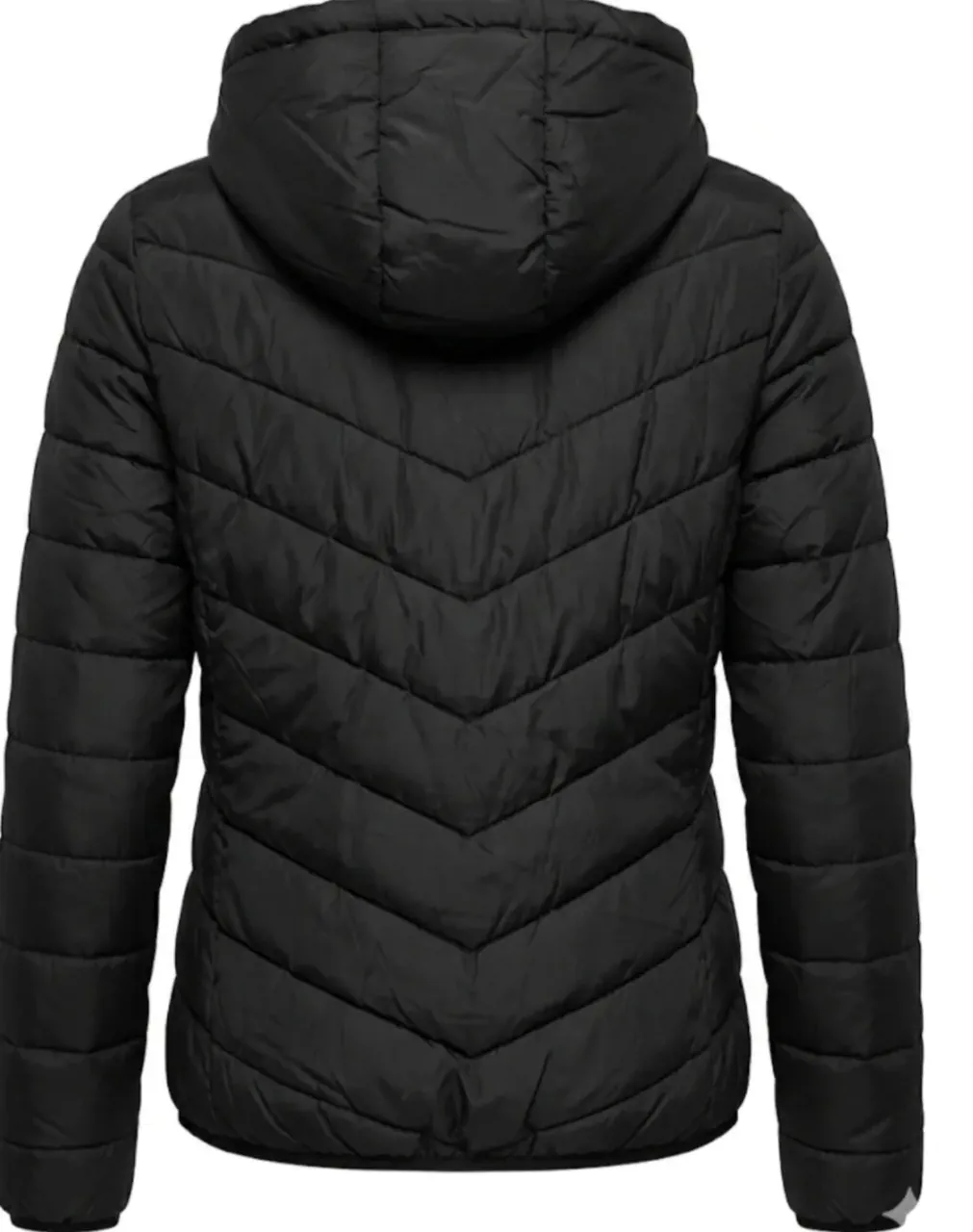 Campera Argentinos juniors - imagen 4