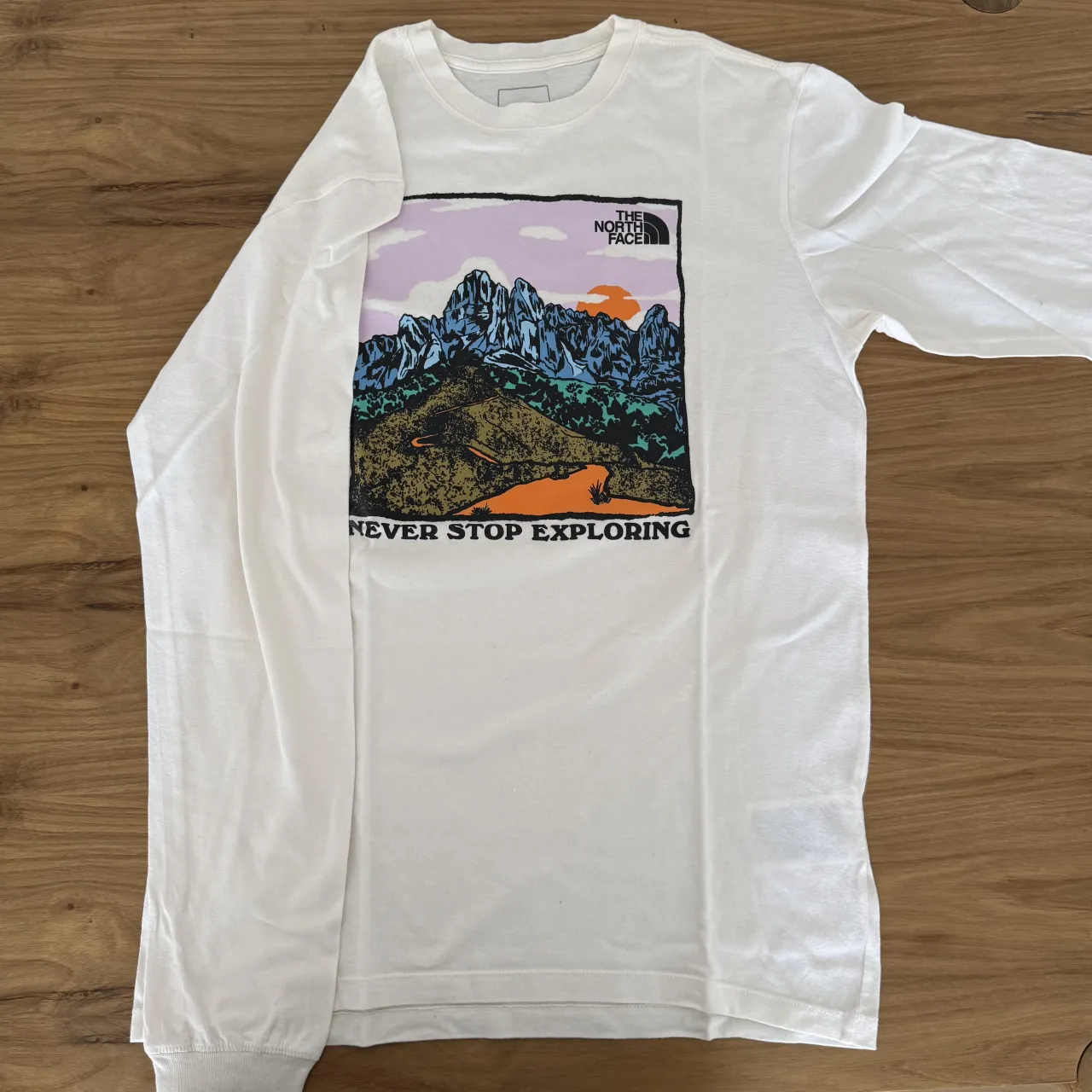 Remera The North Face - imagen 1