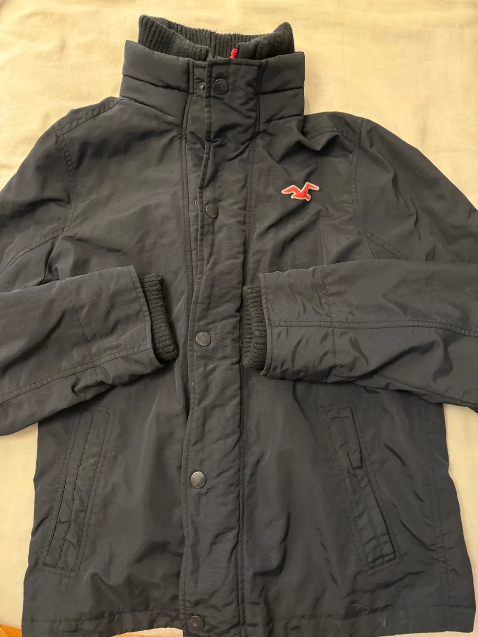 Campera Hollister · Talle L