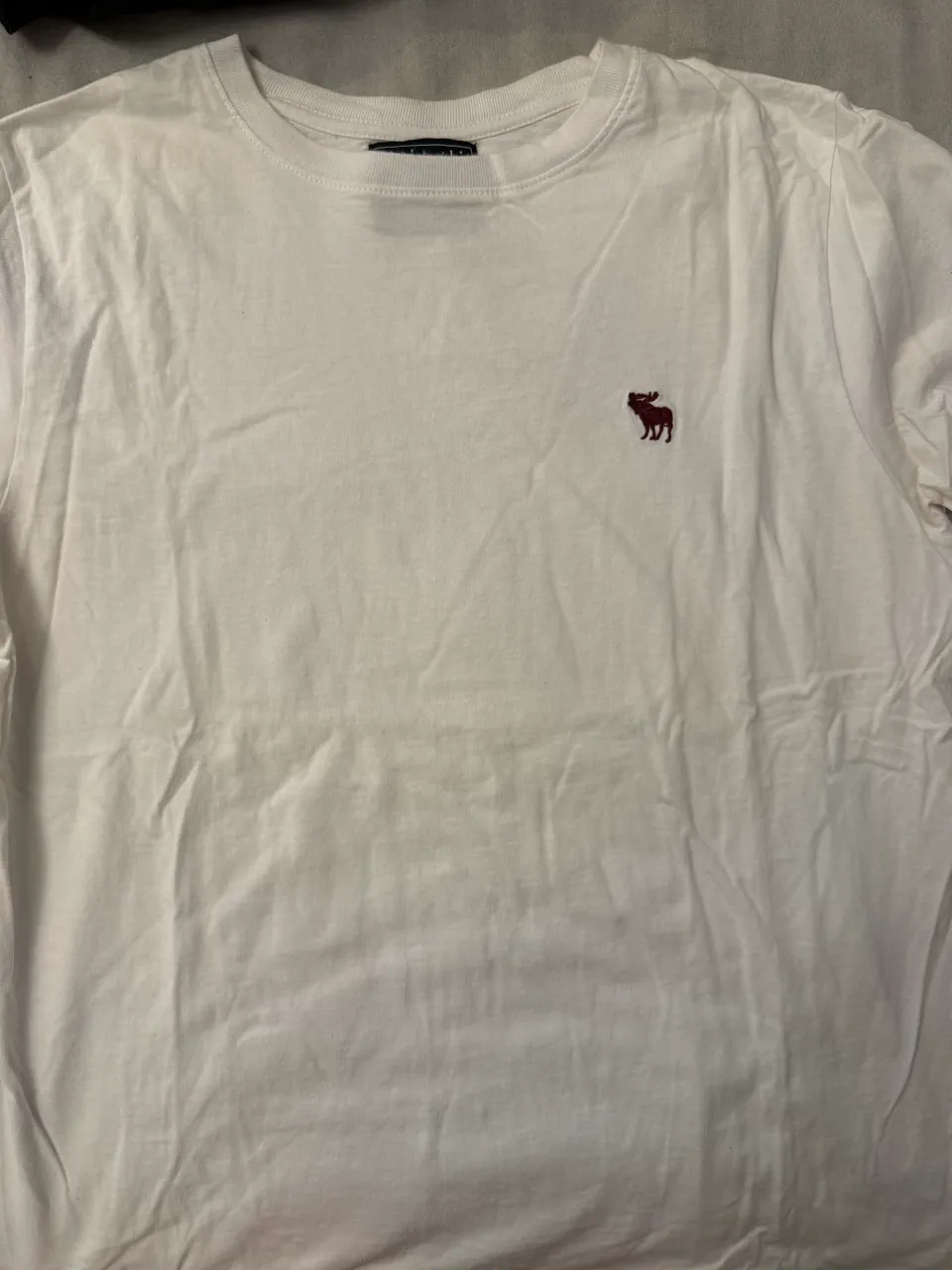 Remera Abercrombie & Fitch · Talle M