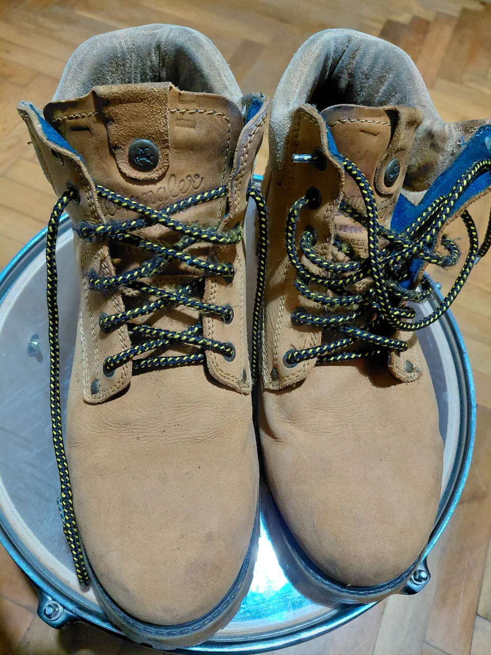Wrangler · Talle AR 43