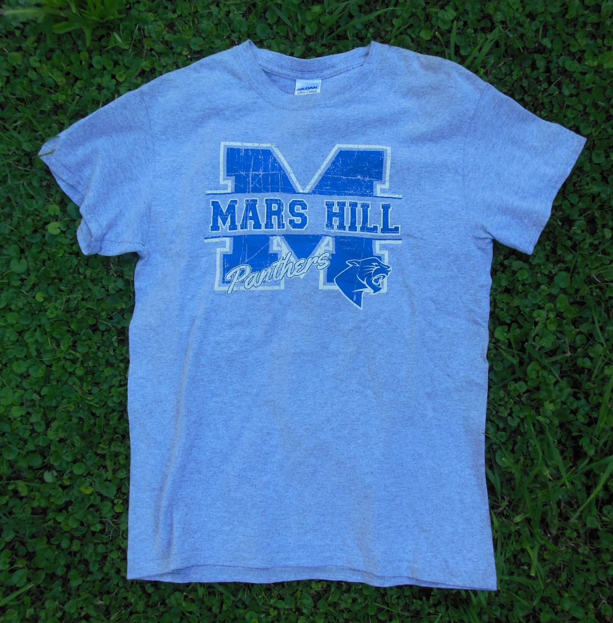 Remera Gildan - imagen 1