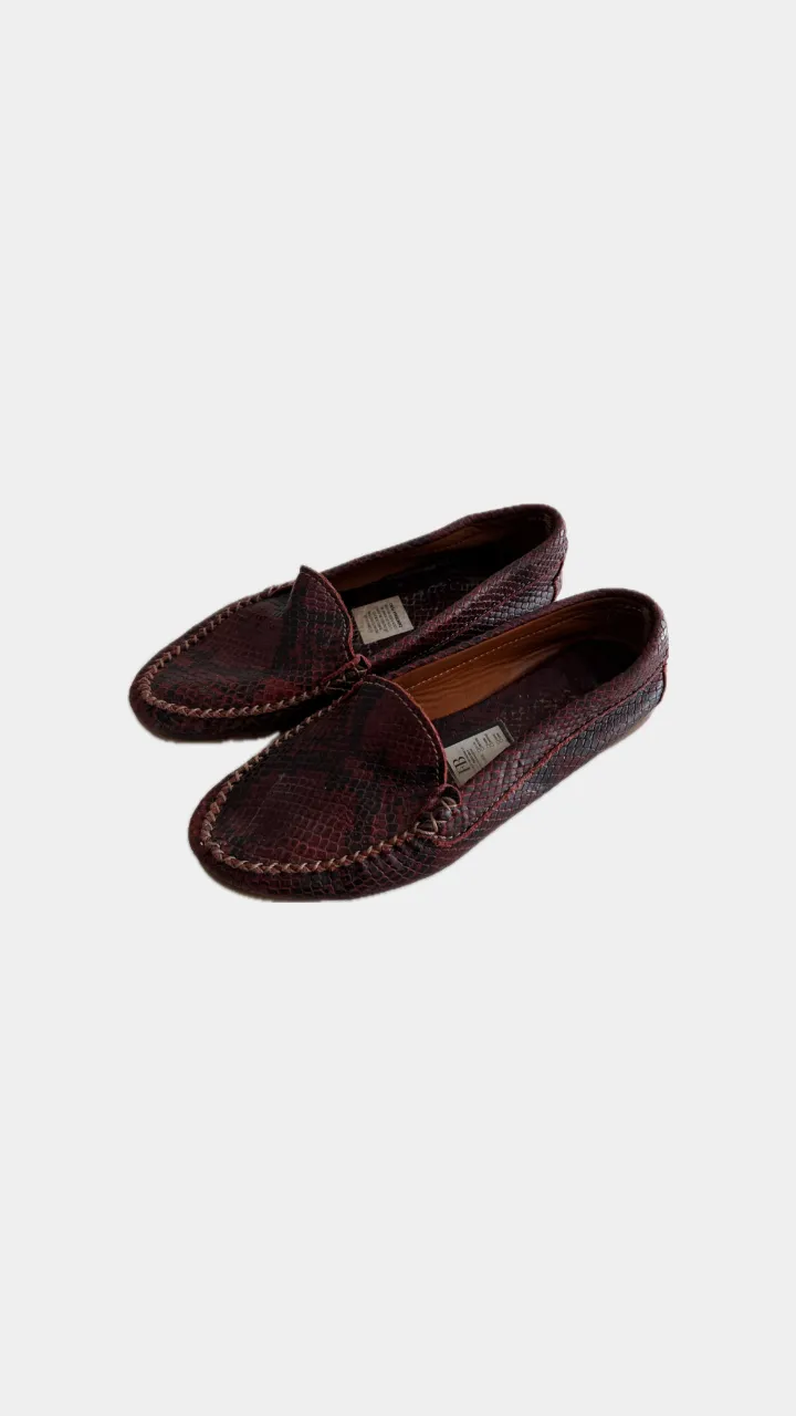 Zapatos Febo - imagen 1