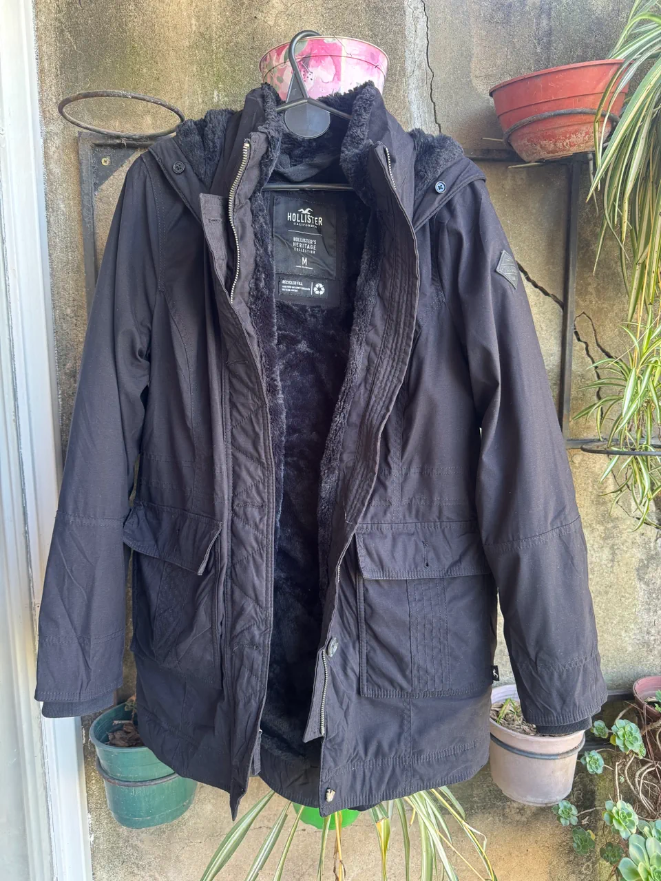 Hollister · Talle M