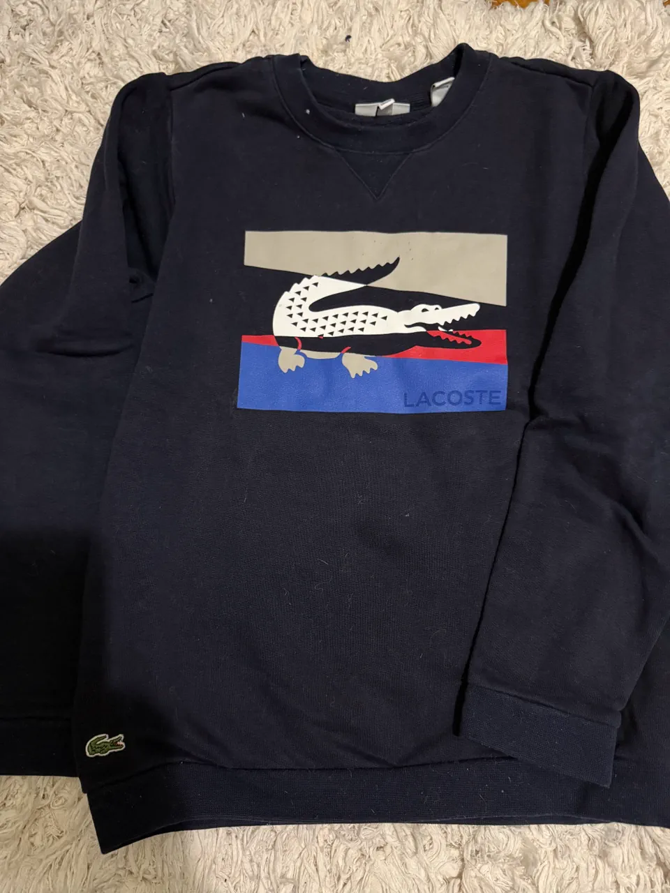 Buzo Lacoste - imagen 1