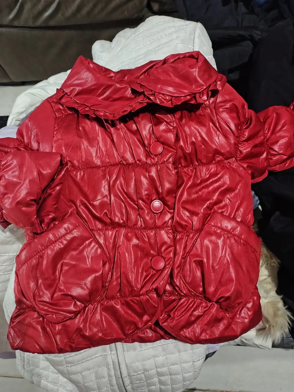 Campera bomber Zara - imagen 1
