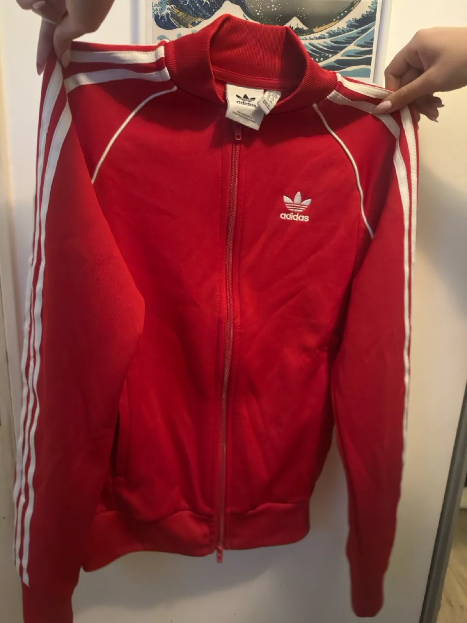 Buzo adidas - imagen 1