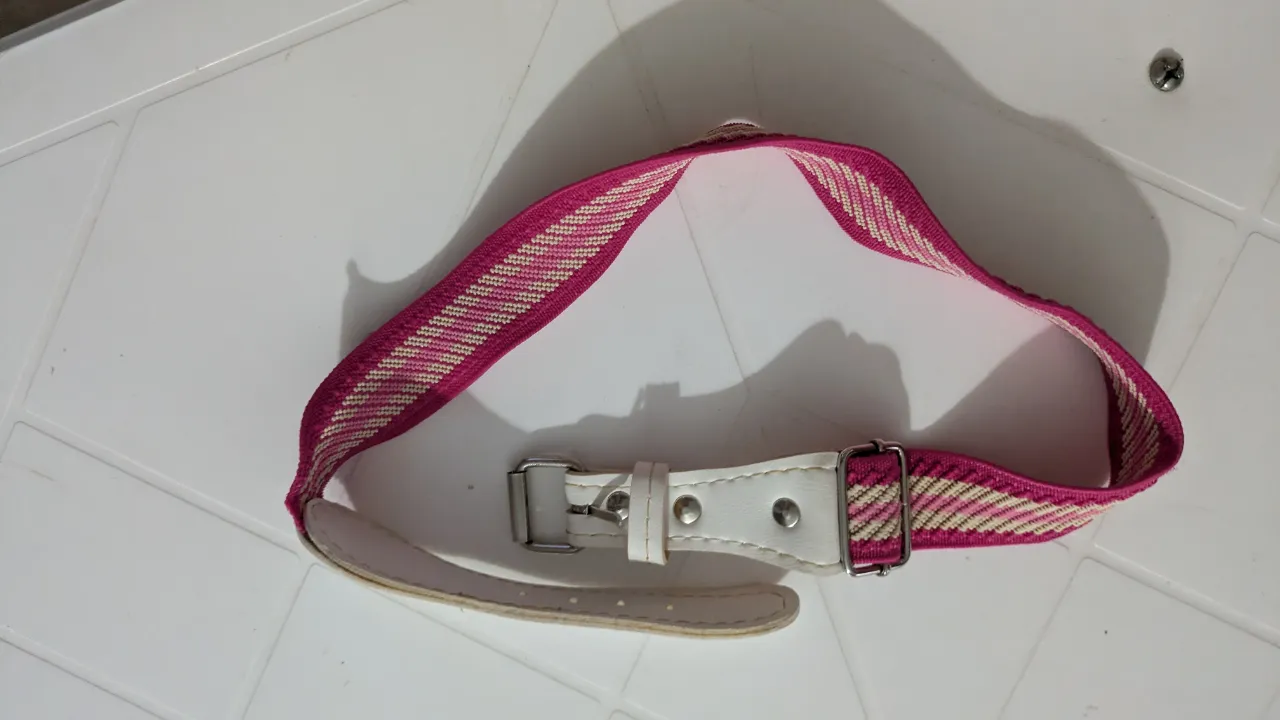 Cinturón Sin marca