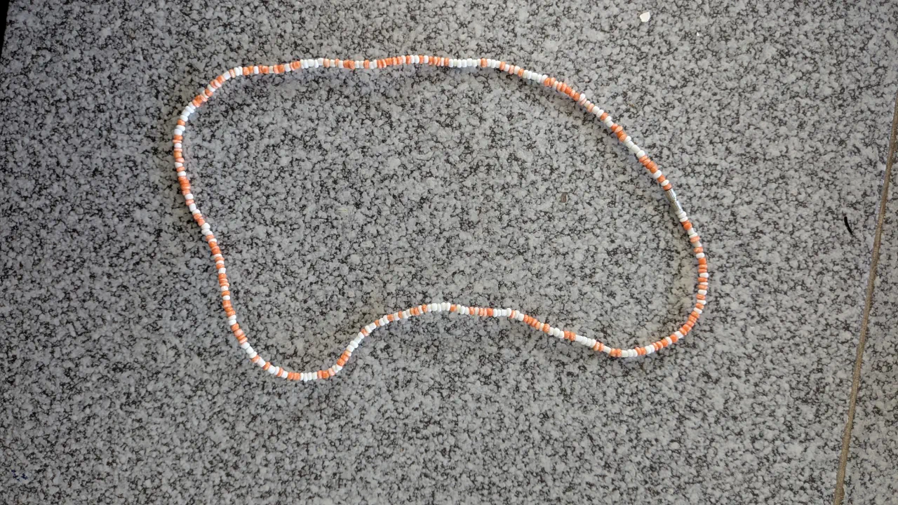 Collar Sin marca - imagen 1