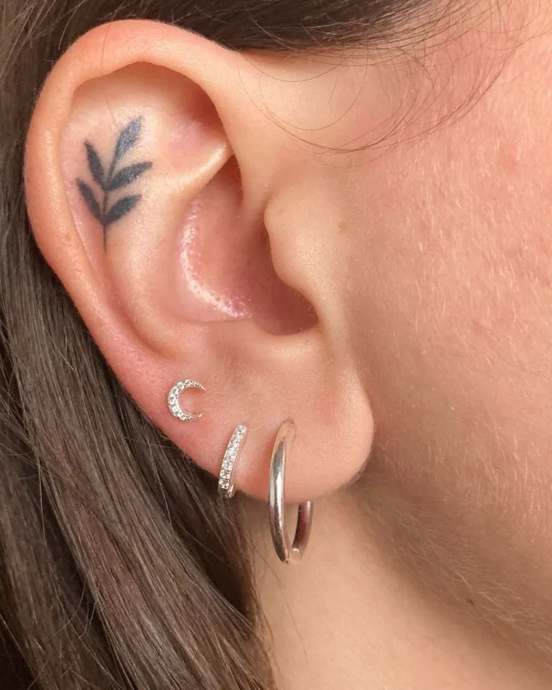 Aros Itapallu - imagen 2