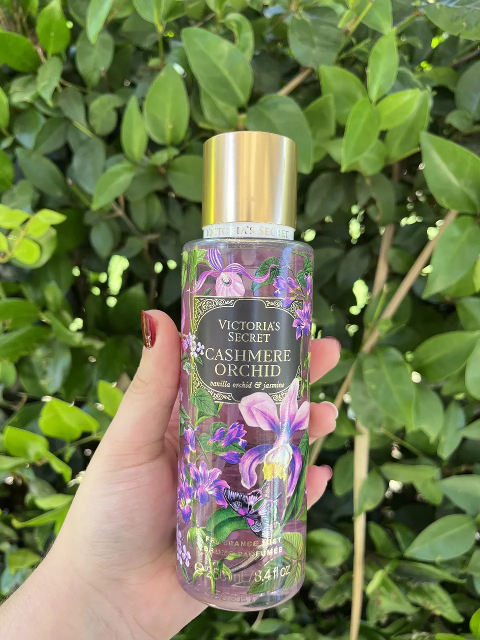 Lencería Victoria's Secret