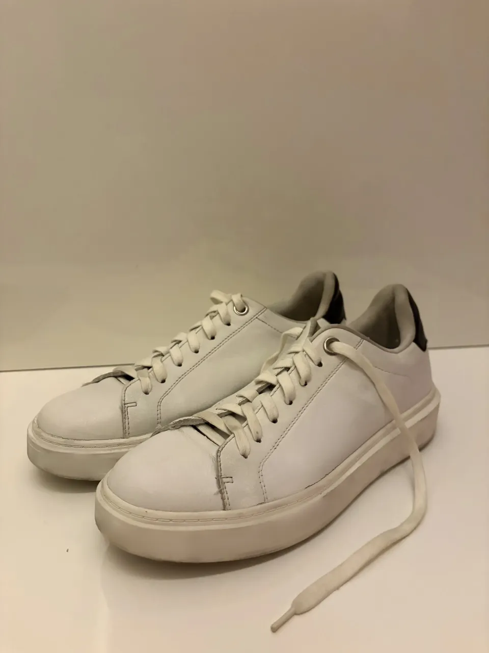 Zapatillas Steve Madden - imagen 1