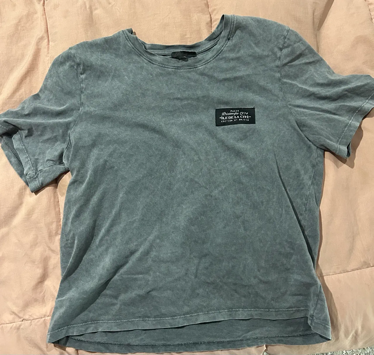 Remera Zara - imagen 1