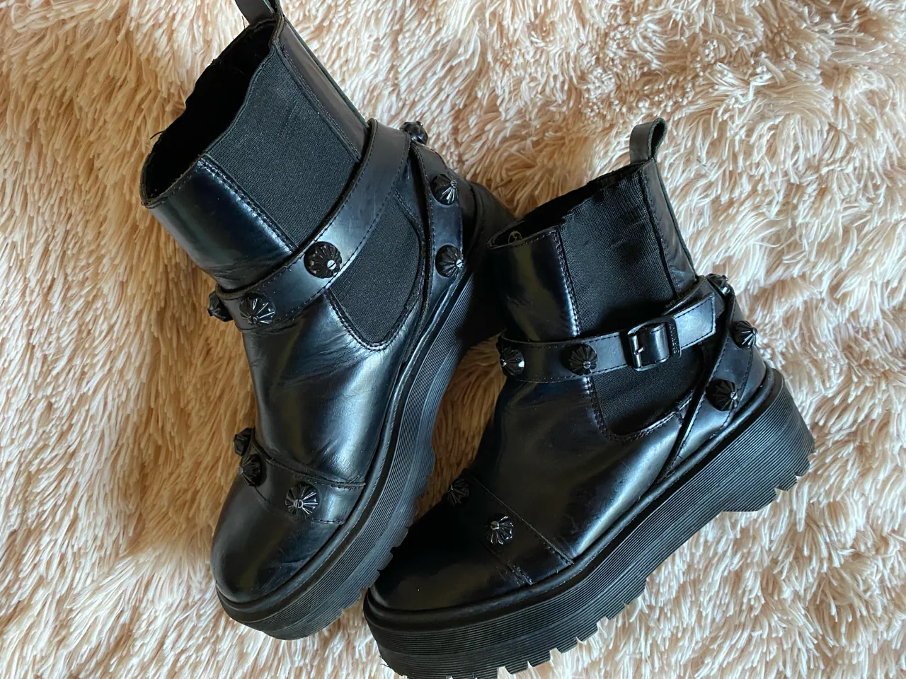 Sarkany · Talle AR 37