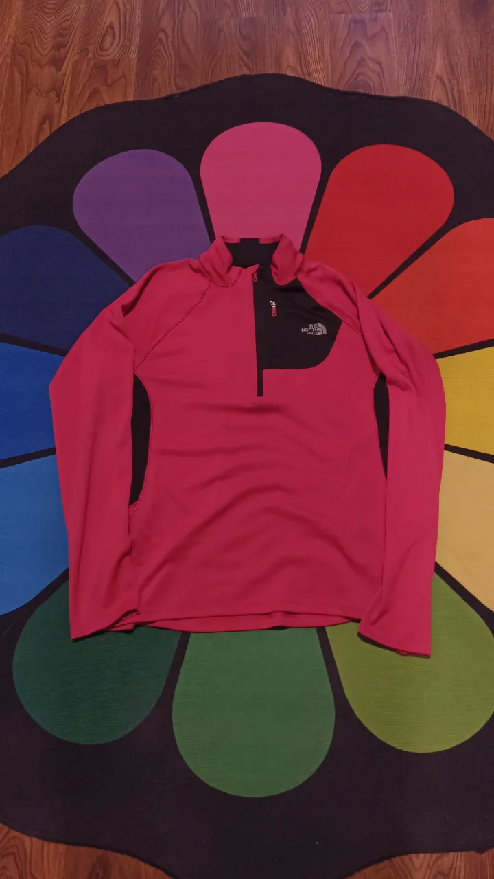 Buzo The North Face - imagen 1