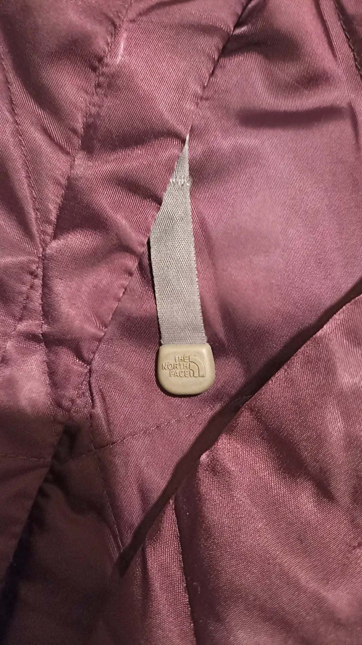 Campera The North Face - imagen 3