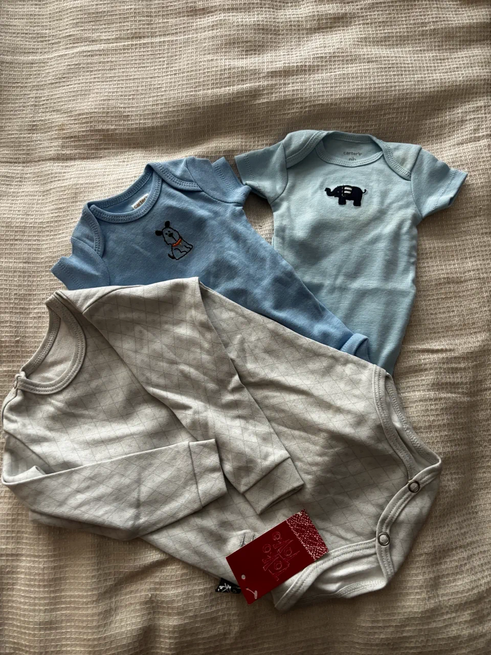 Body Carters - imagen 1