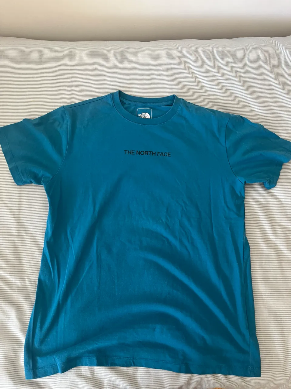 Remera The North Face - imagen 1
