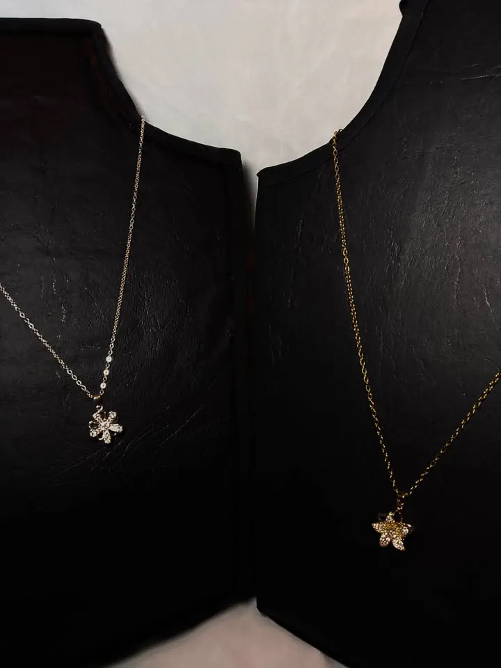 Collar Nox accesorios