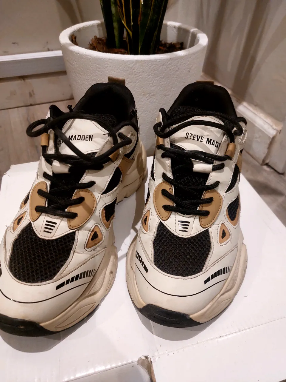 Zapatillas Steve Madden - imagen 1