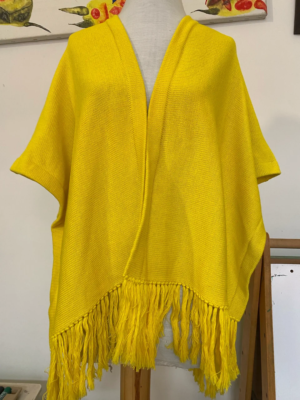 Poncho Dolores Reynal - imagen 1