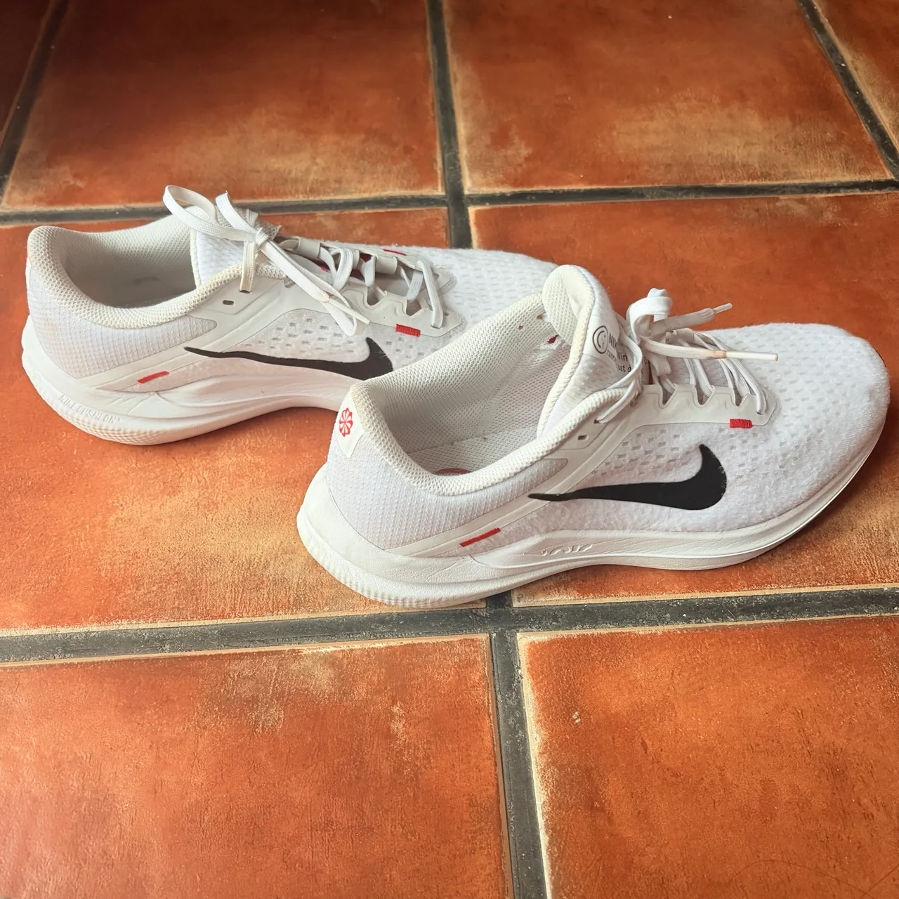 Nike · Talle AR 42