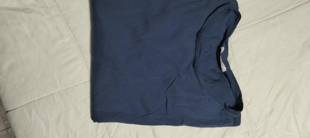 Remera Zara Trafaluc · Talle L