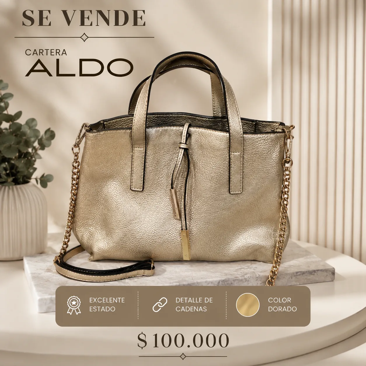 Cartera ALDO - imagen 1