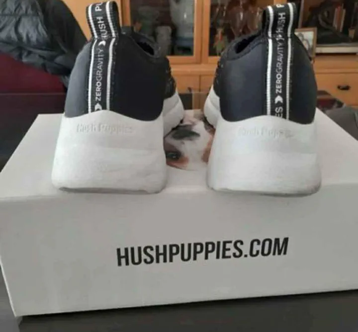 Zapatillas Hush Puppies - imagen 2