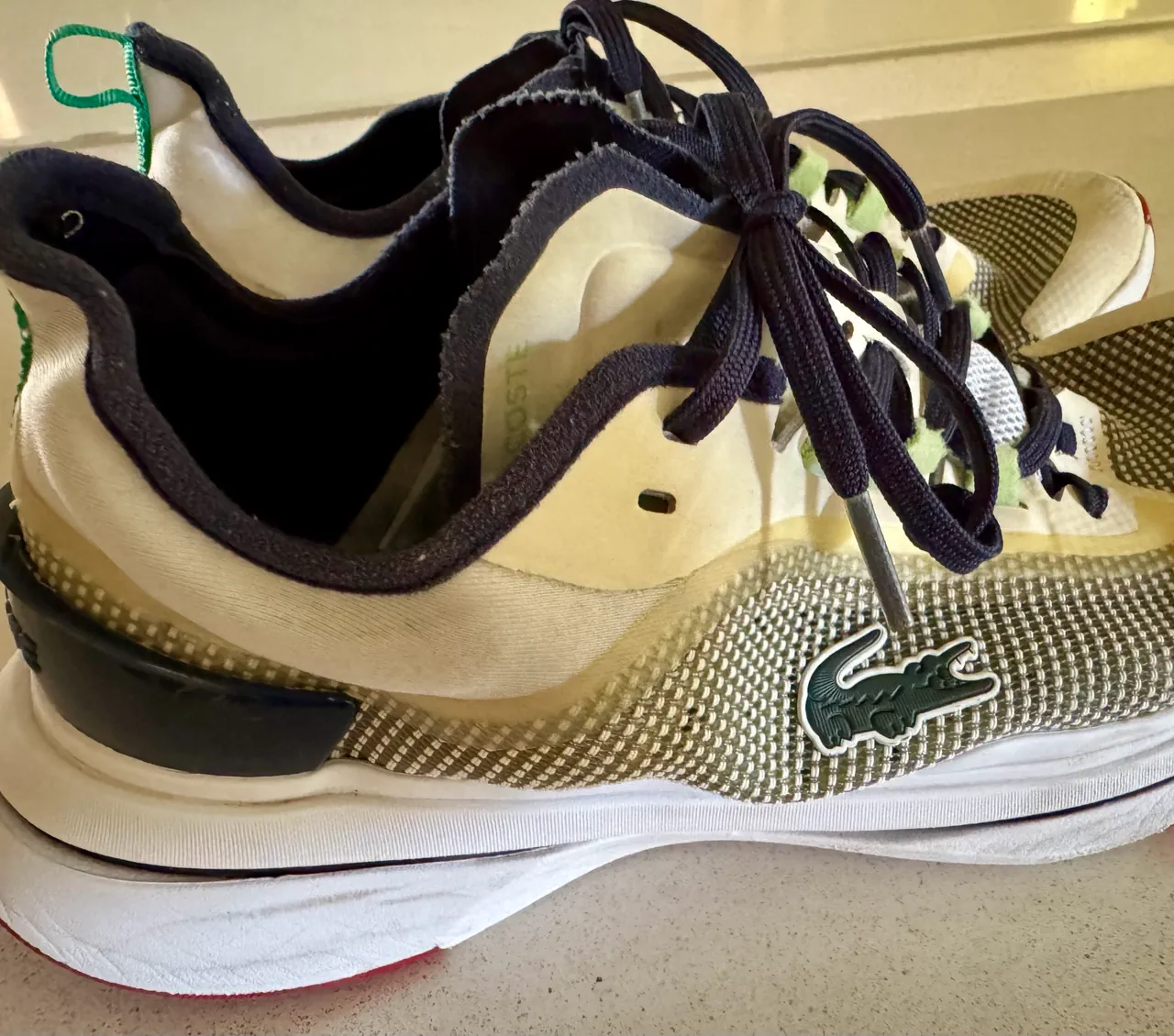 Lacoste · Talle AR 43