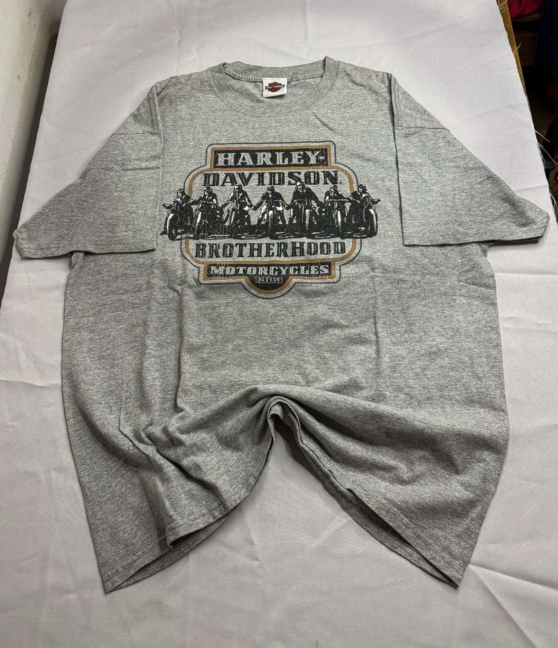 Remera Harley Davidson - imagen 1