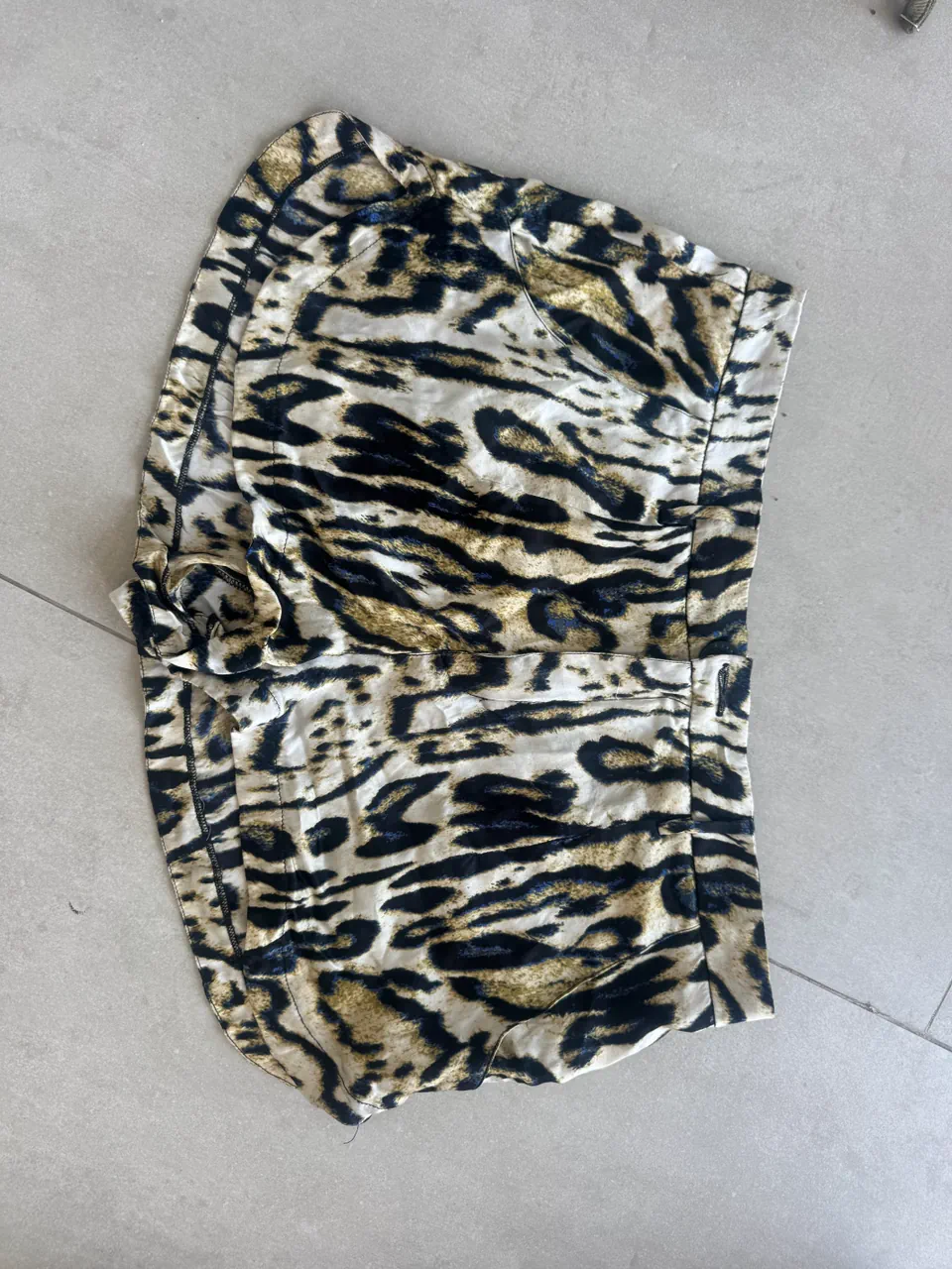 Short Ayres - imagen 1