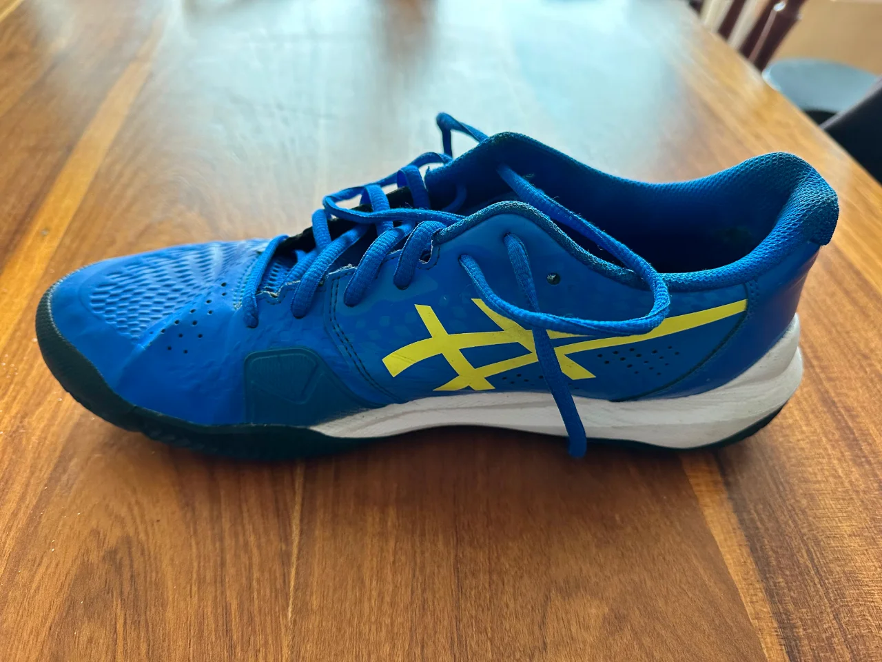 Asics · Talle AR 42