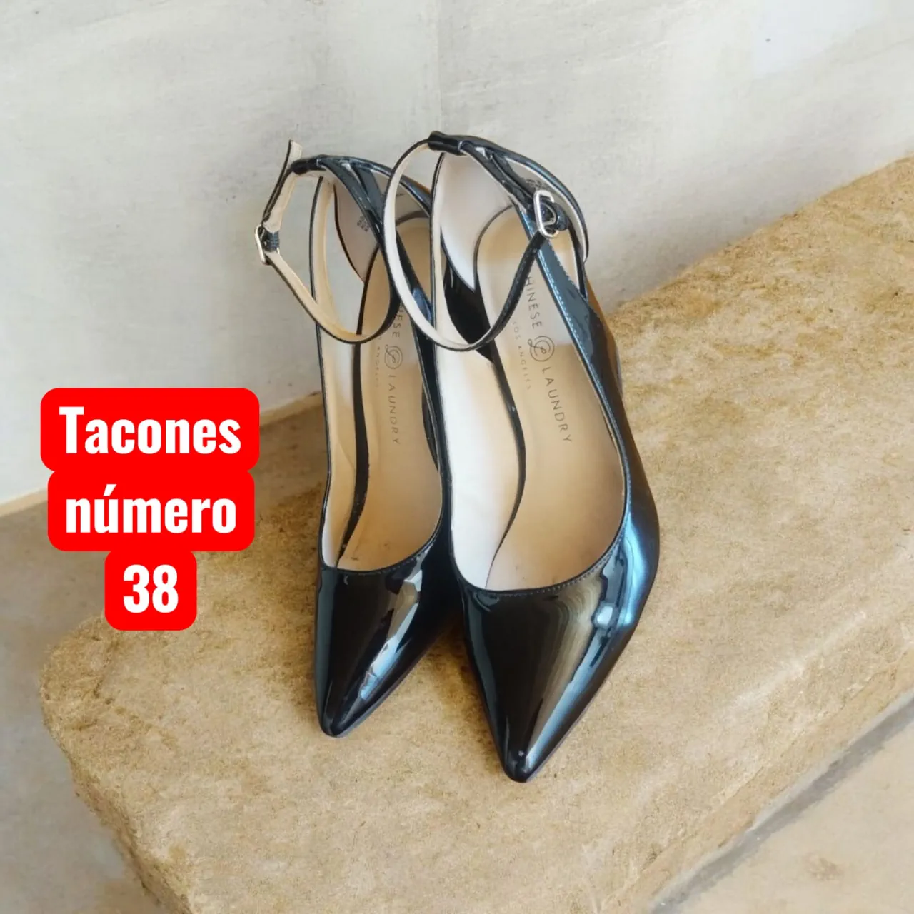 Chinese laundry · Talle AR 38