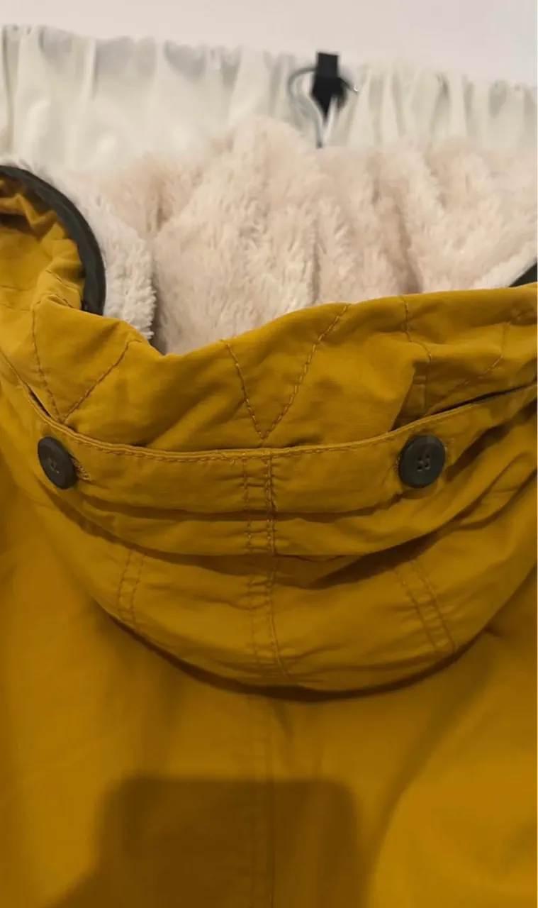 Campera New icon - imagen 6