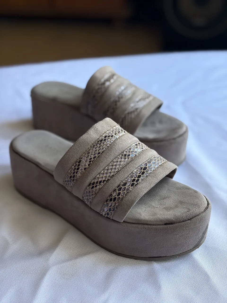 Ricky Sarkany · Talle AR 38
