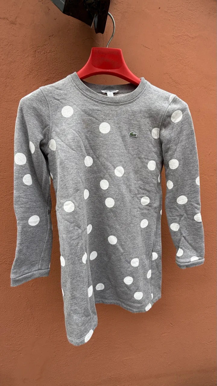 Buzo Lacoste - imagen 1