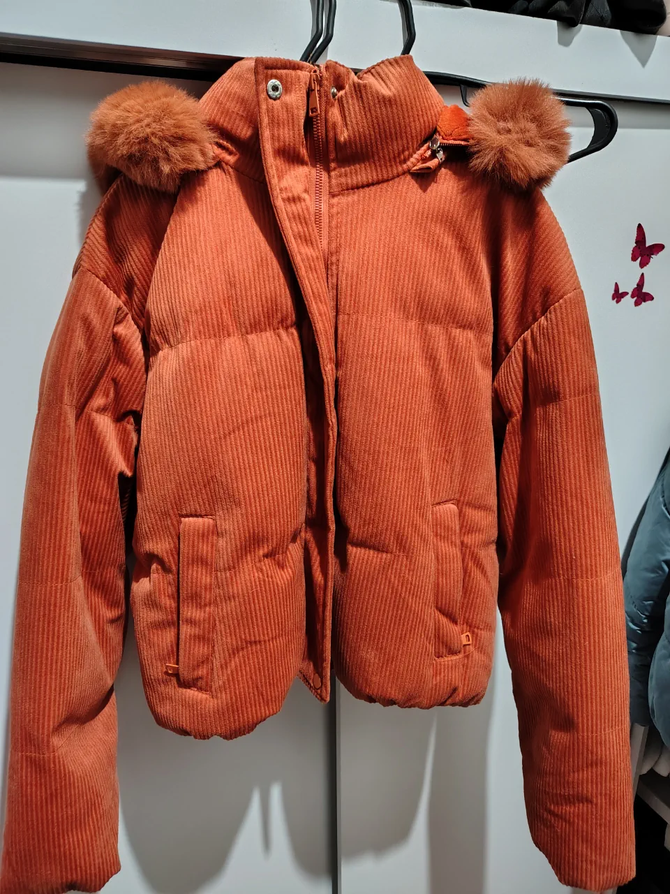 Campera Ssj - imagen 1