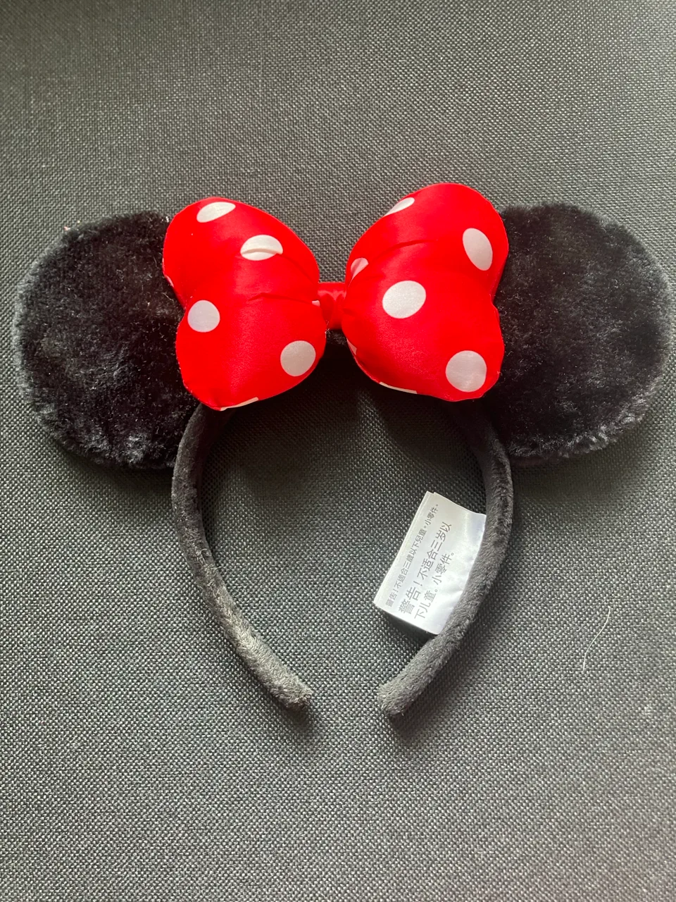 Disney parks