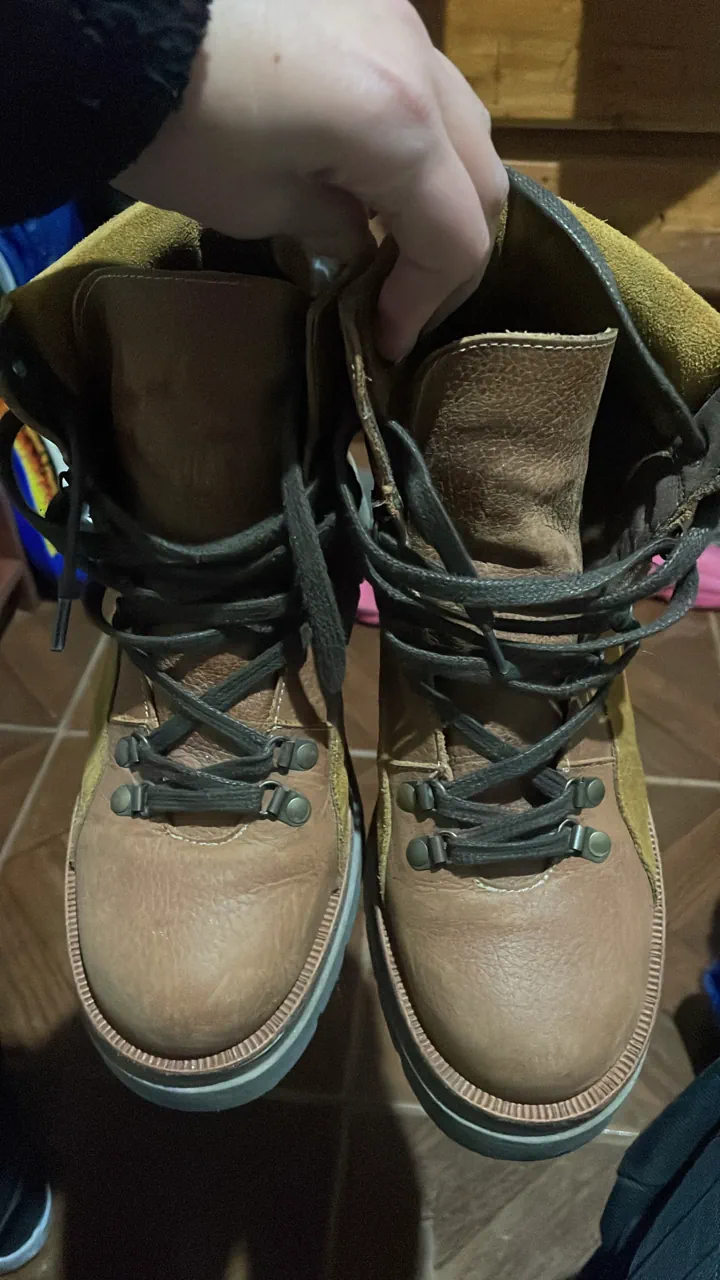 Sarkany · Talle AR 38