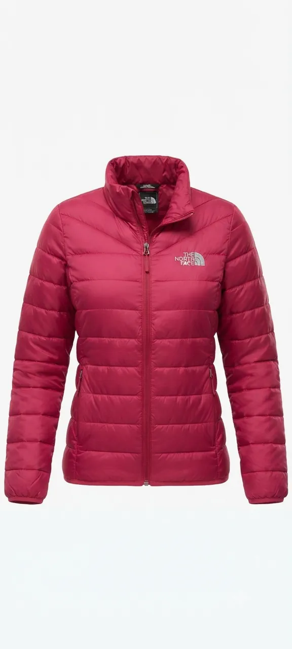 Campera The North Face - imagen 1