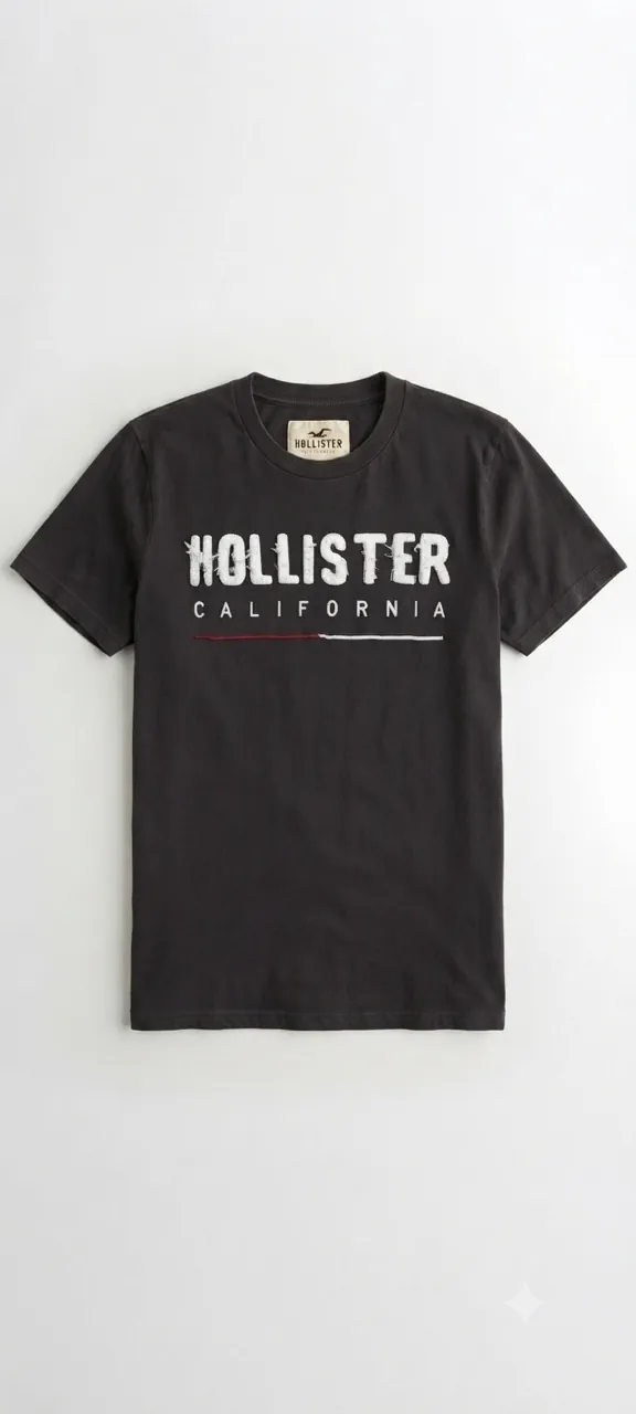 Remera Hollister · Talle L