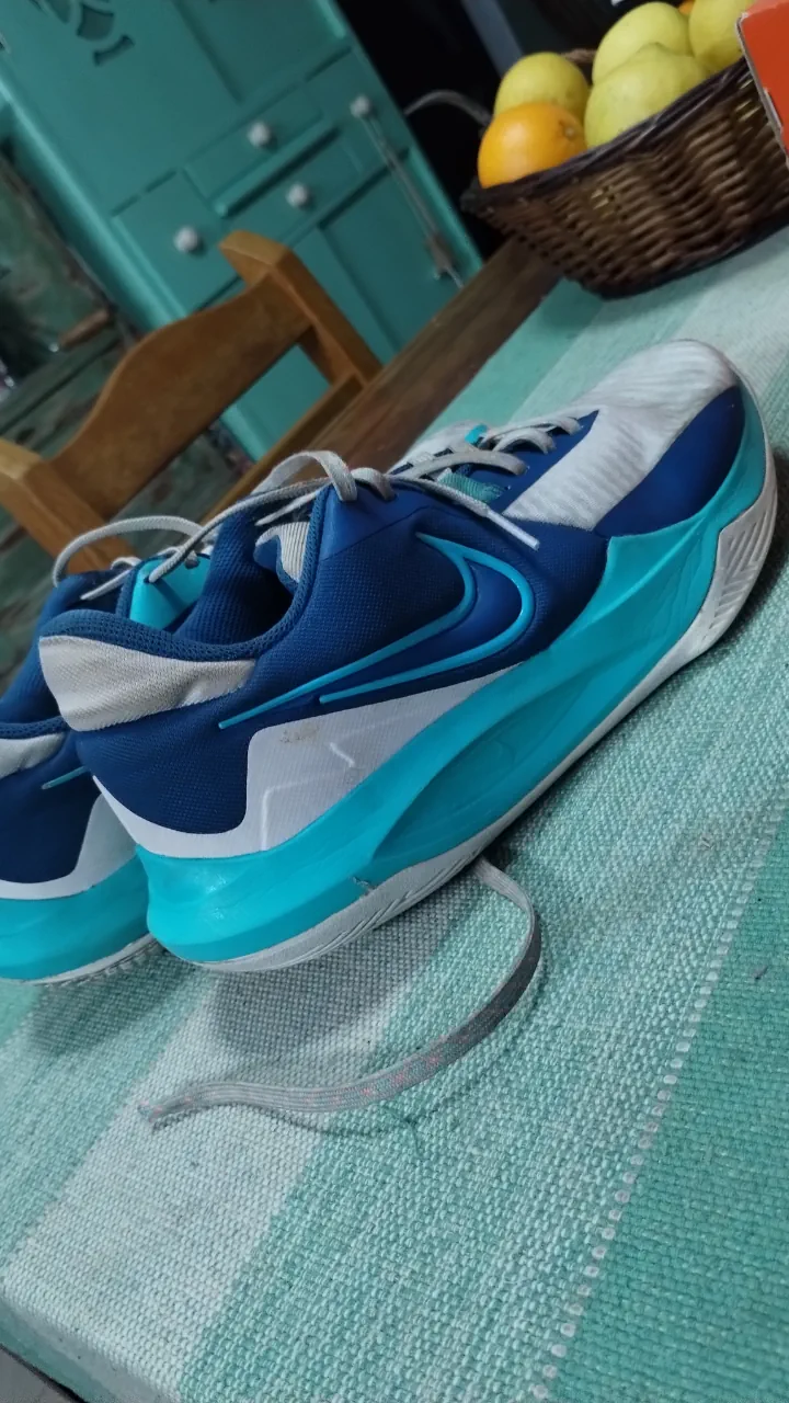 Zapatillas Nike - imagen 1
