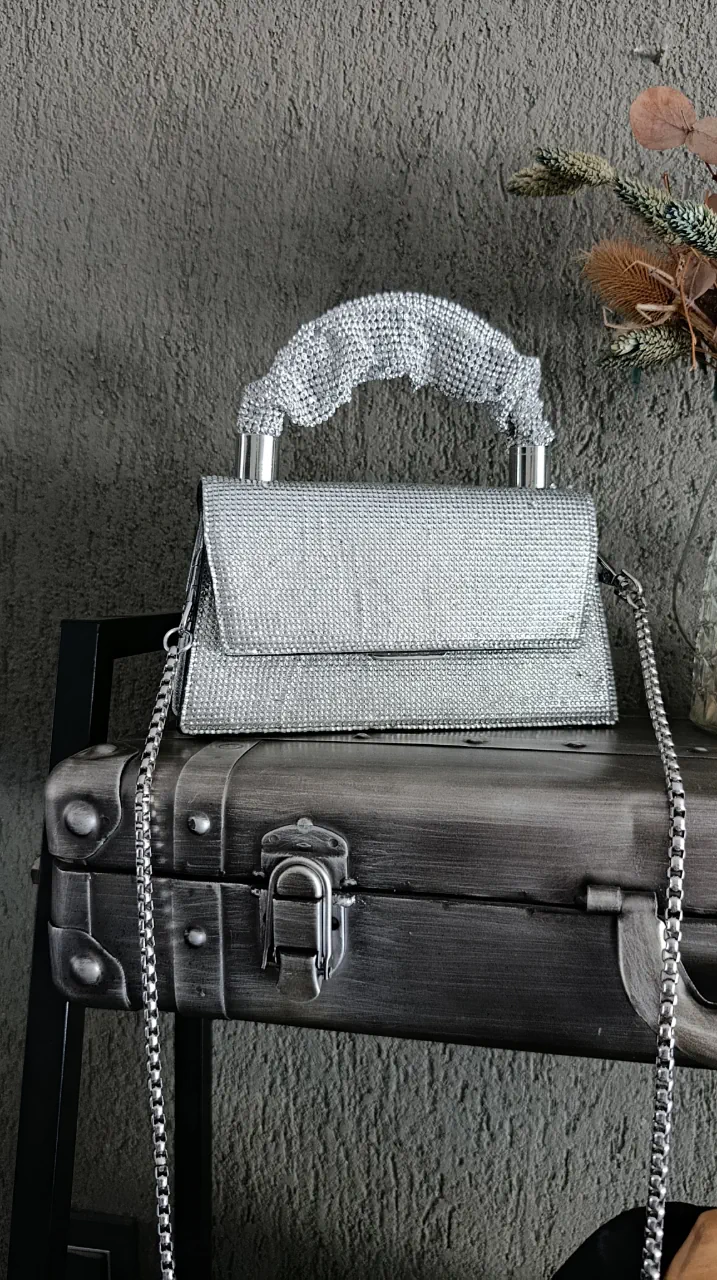 Cartera ALDO - imagen 1